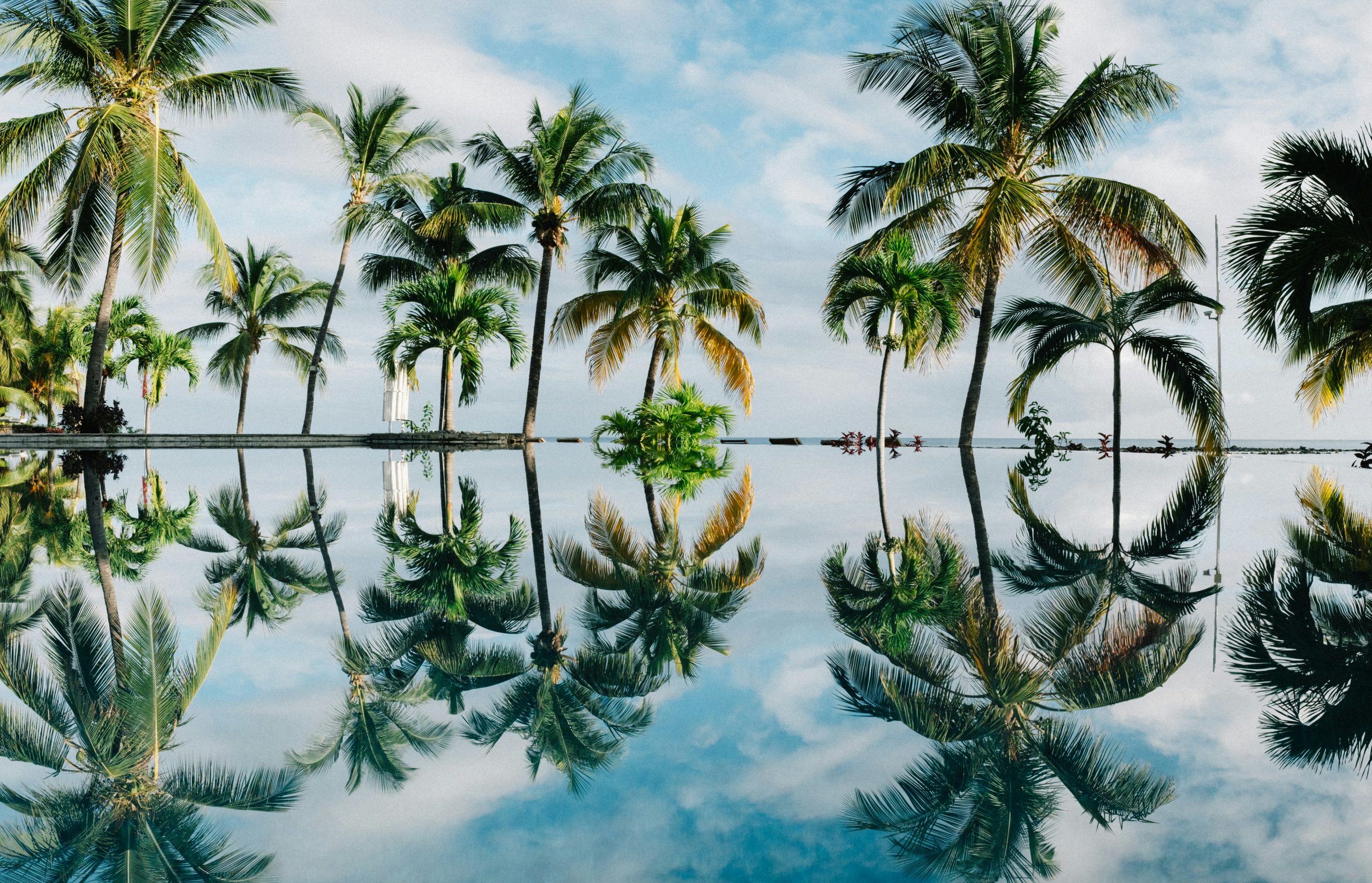 dan-freeman-wAn4RfmXtxU-unsplash